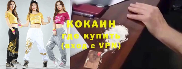 PSILOCYBIN Аркадак