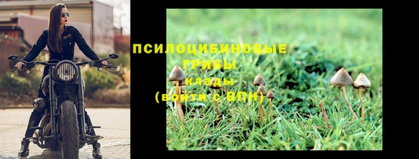 не бодяженный Армянск